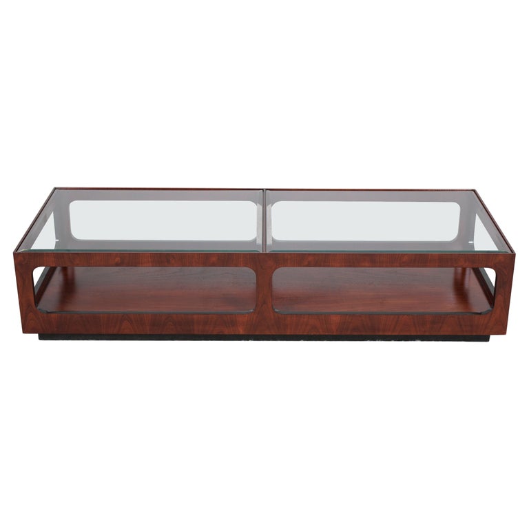 Mid Century Modern Two Tier Glass Coffee Table For Sale