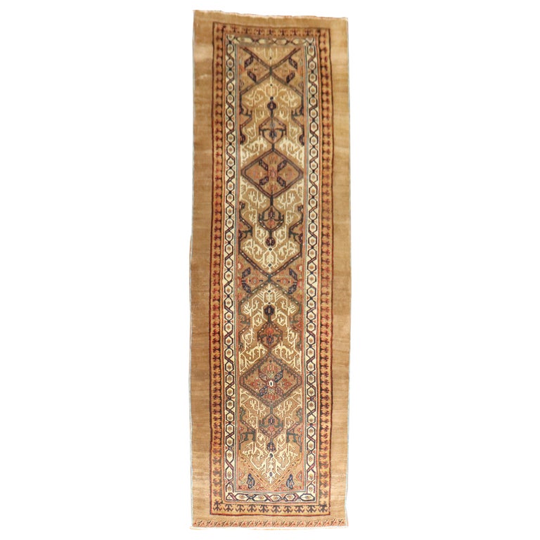 Le tapis de couloir en poils de chameau de la fin du XIXe siècle En vente  sur 1stDibs