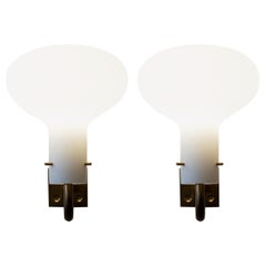 Pair of LP12 Sconces in Brass by Ignazio Gardella for Azucena, Italy, 1950s