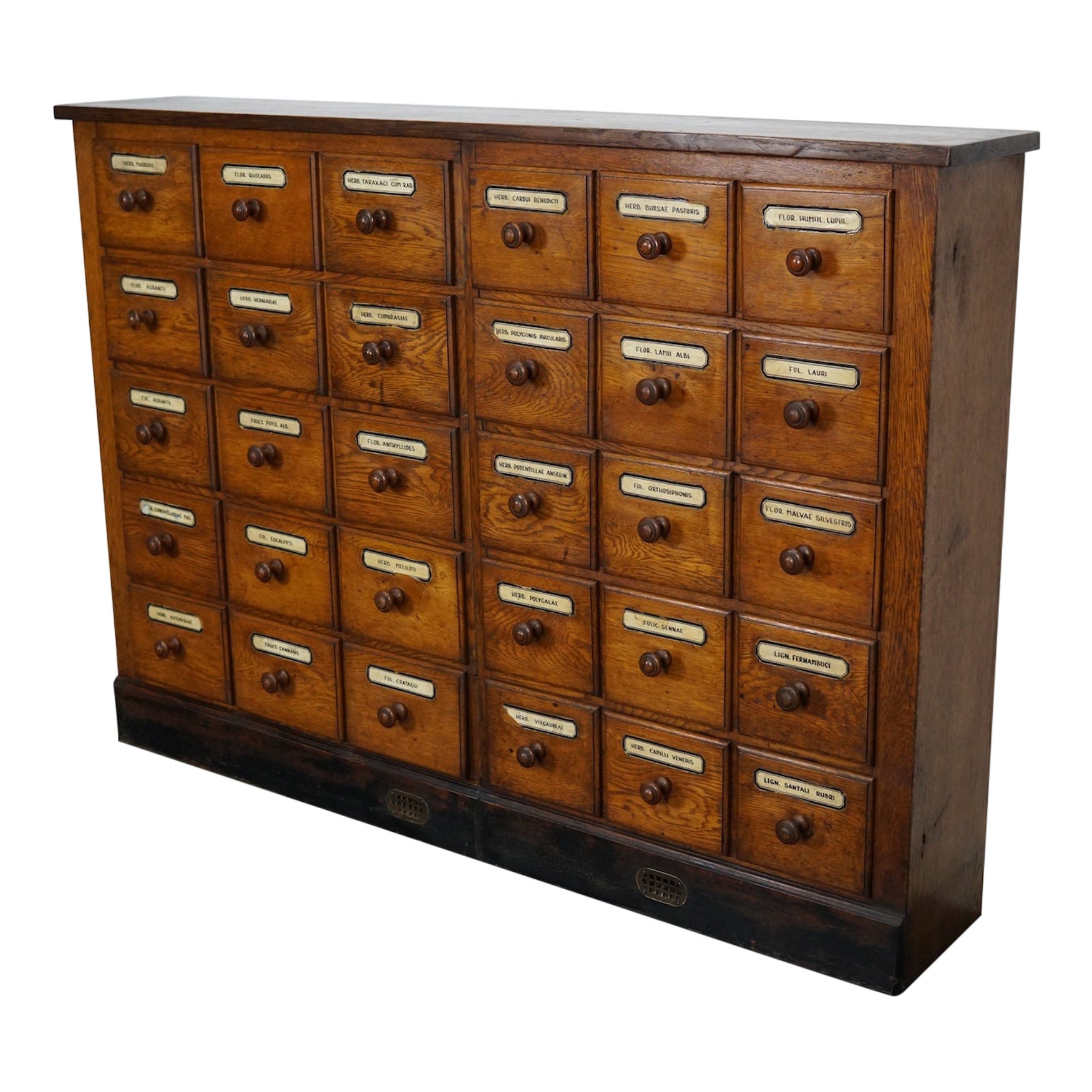 German Oak Apothecary Cabinet or Bank of Drawers, Early 20th Century
