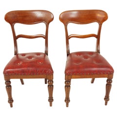 Pair of Antique Walnut Dining Chairs, Library Chair Scotland 1880, B2866