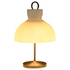 1950's Italian Mid-century Lamp by Ignazio Gardella for Azucena