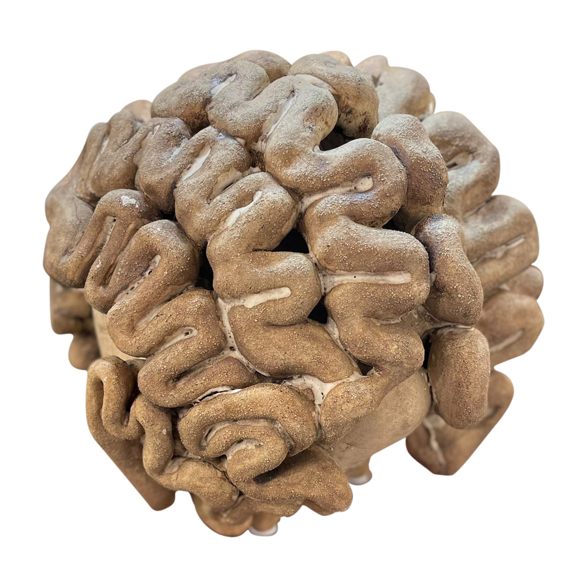 French Terracotta Brain Sculpture, circa 1960s