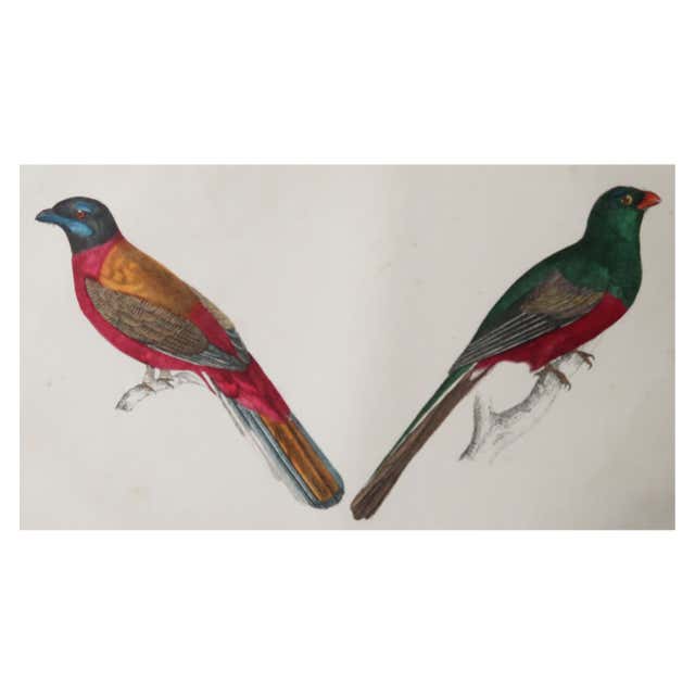 Antique Print of Vaughan Library, 1863 For Sale at 1stDibs