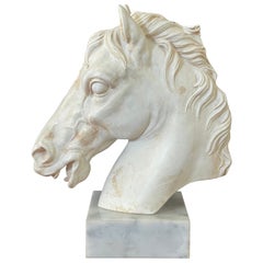 Horse Head Sculpture on Marble Base