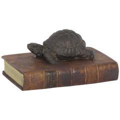 Turtle and Leather Paper Weight