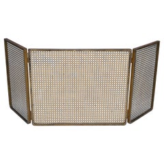 Mathieu Matégot 3 Panel Mesh Steel Fireplace Screen & Brass Hardware France 1970