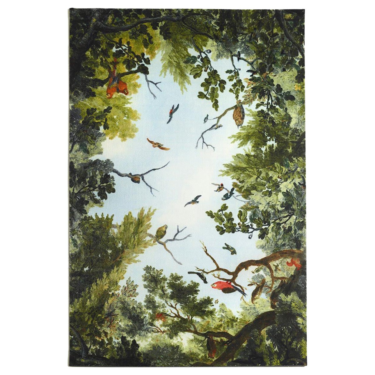 Cielo & Terra Bird Rug by Marcantonio