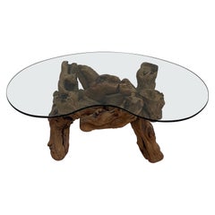 Mid-Century Modern Burled Driftwood Coffee Table