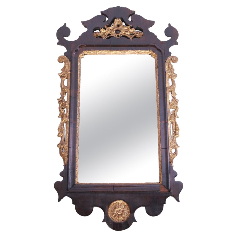 Portuguese Mirror of the 18th Century Brazilian Rosewood Frame For Sale