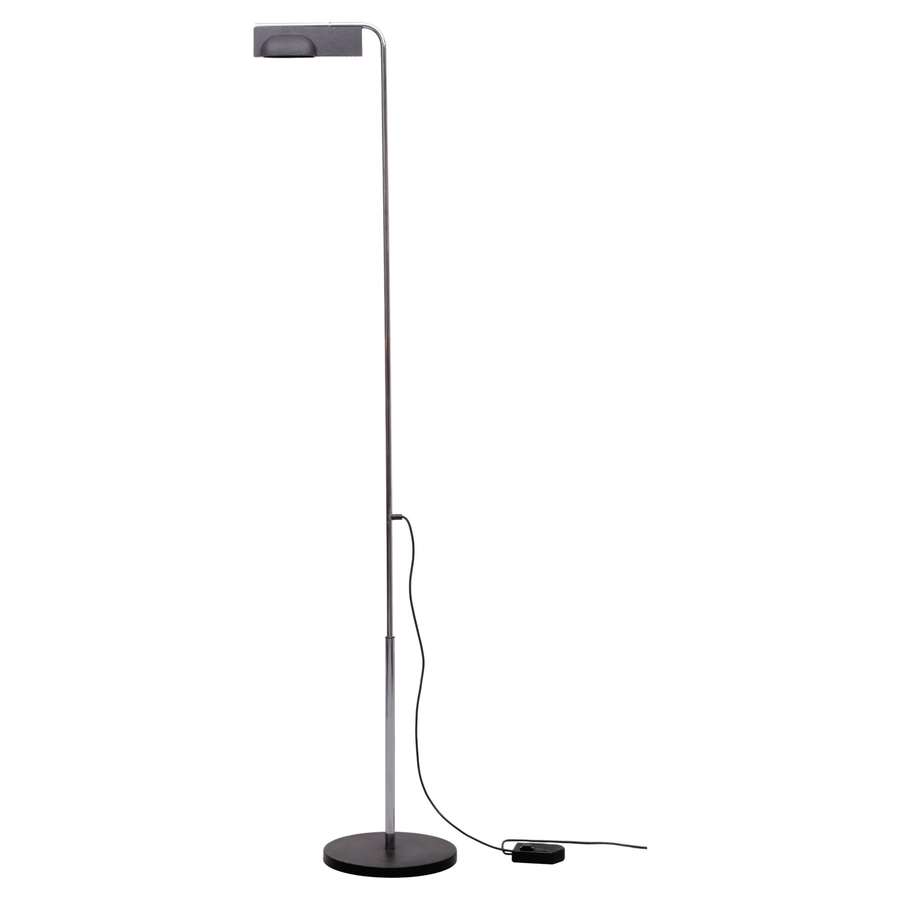 Ernesto Gismondi Camera Terra Floor Lamp 1980s For Sale