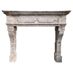 19th Century Fireplace of French Limestone in Style of Louis XIII 