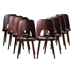 Set of 8 Dining Chairs by Oswald Haerdtl, Kvadrat Customizable Reupholstery