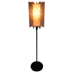 Czechoslovakia Mid-Century Floor Lamp in Nylon and Metal, 1950s