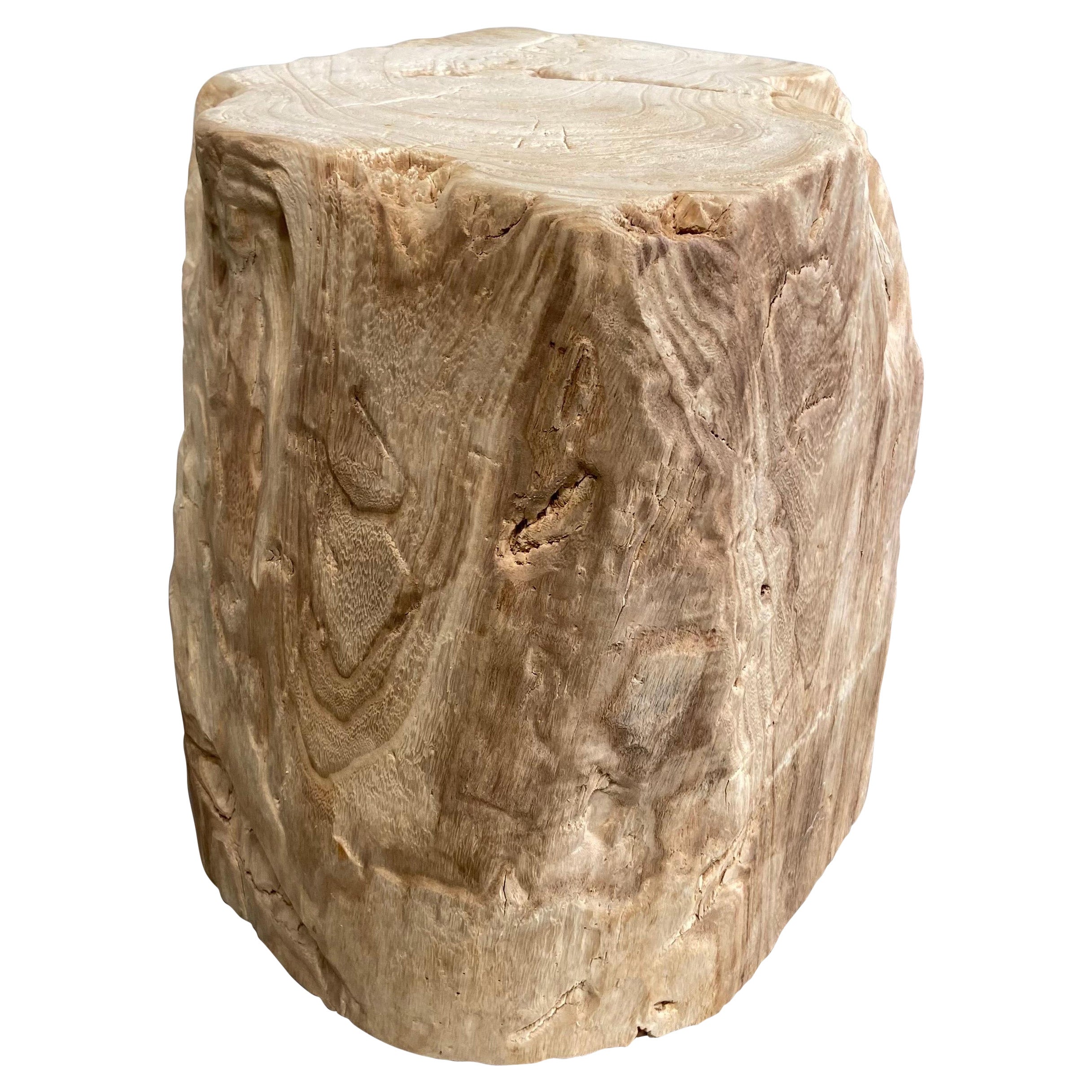 Natural Minimalist Stump Side Table