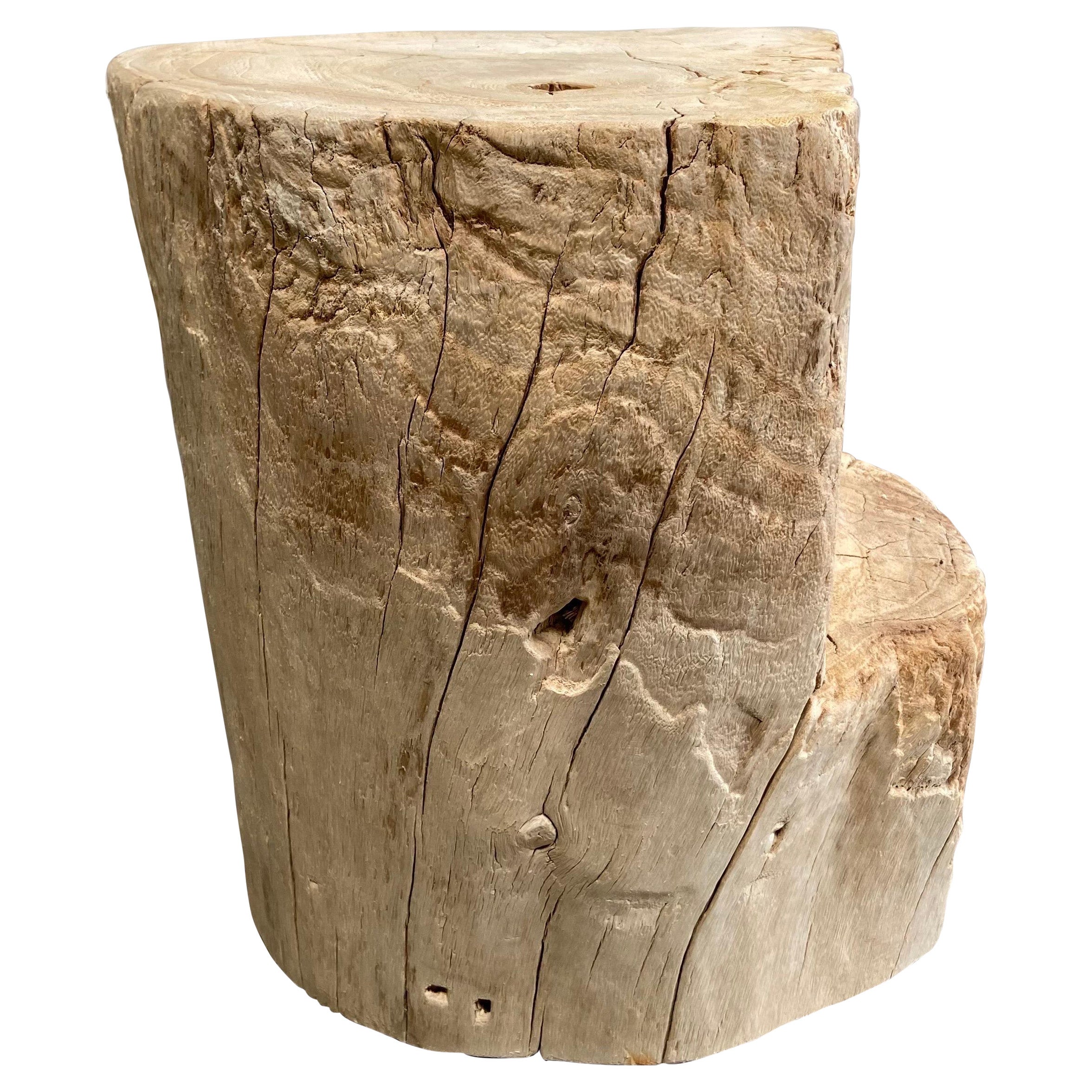 Large Tree Stump Side Tables, Natural For Sale at 1stDibs