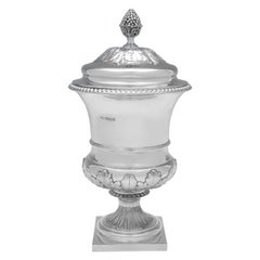 Stunning Sterling Silver Urn or Cup & Cover - London 1928