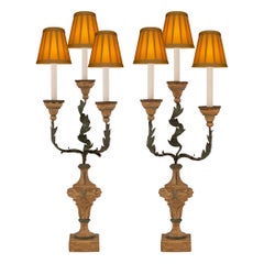 Italian 18th Century Louis XVI Period Patinated Wood And Tole Candelabra Lamps