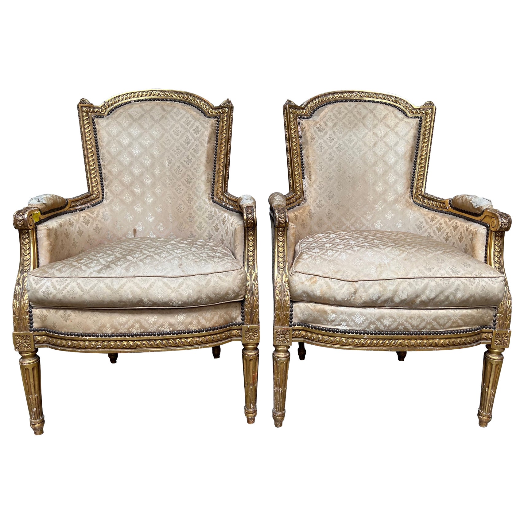 Pair of French Louis XIV Style Gilt Wood Bergeres For Sale
