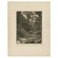 Antique Print of the Jungle and Sungai Belawan River by Kleingrothe, c.1910