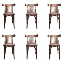 Six Bentwood Dining Chairs by Berc Antoine, Cafe, France, Thonet Style
