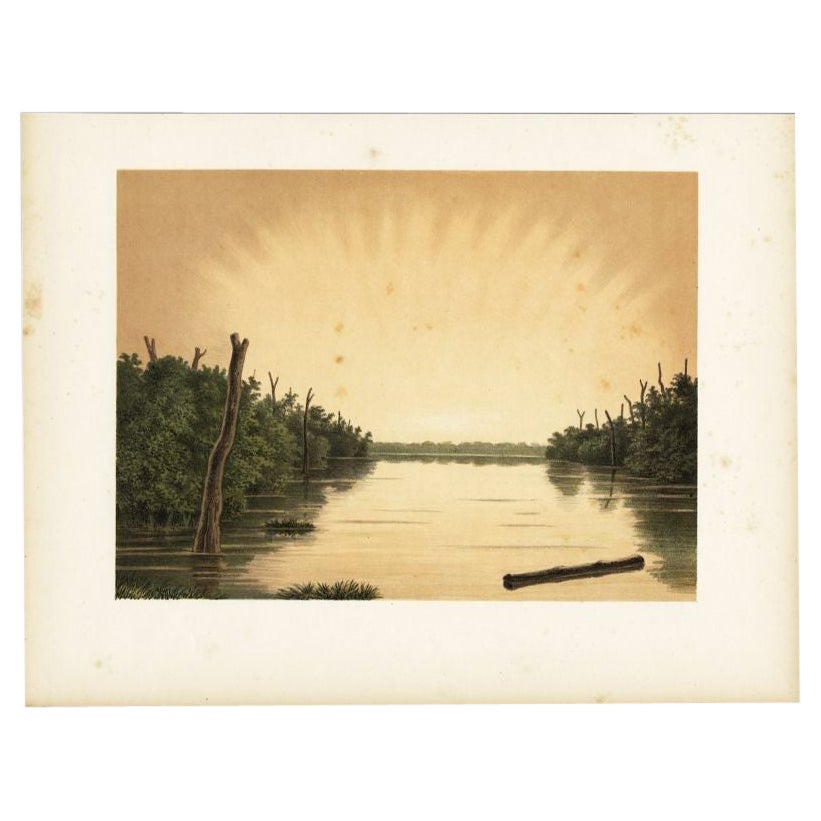 Antique Print of the Paminger Lakes by Perelaer, 1888 For Sale