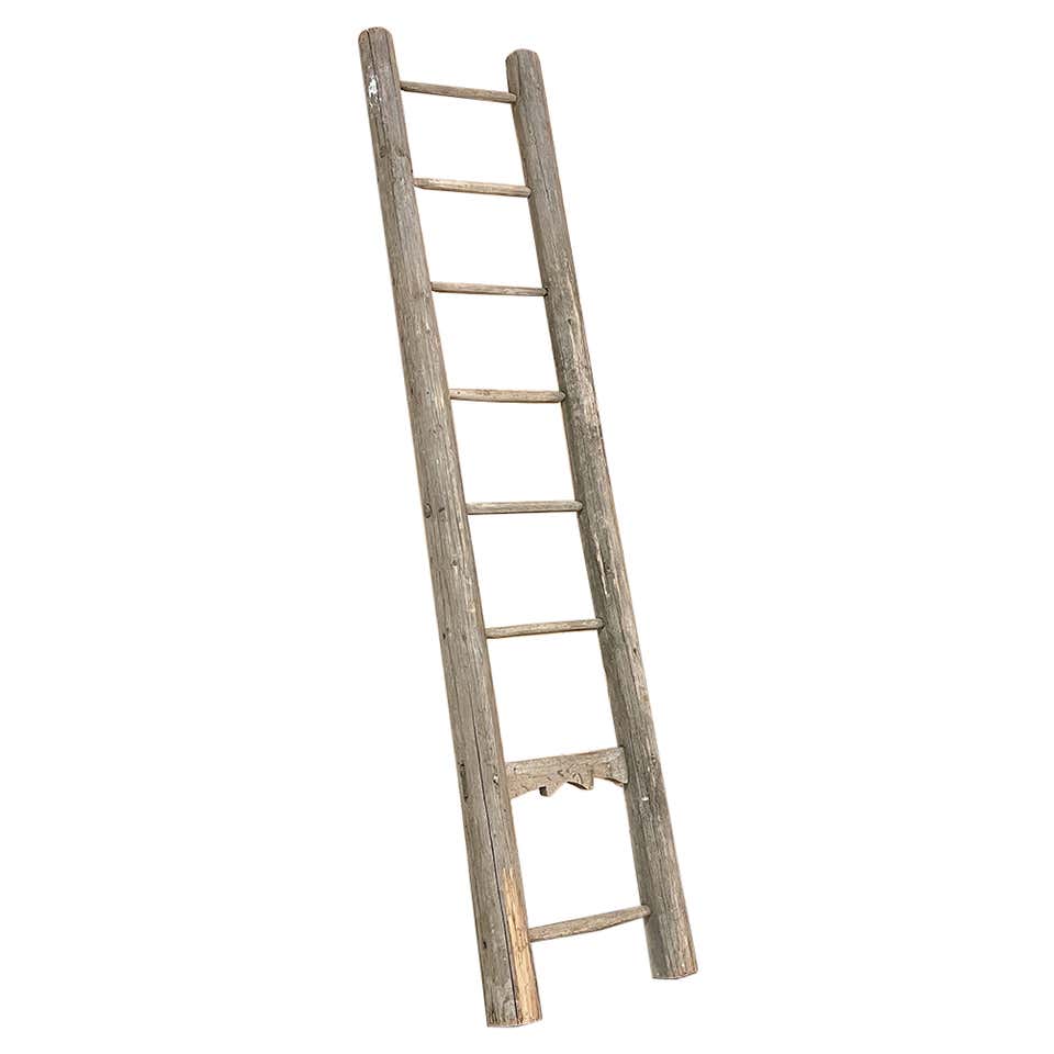 F.E. Myers Bros. Country Store or Library Rustic Ladders with Hardware ...