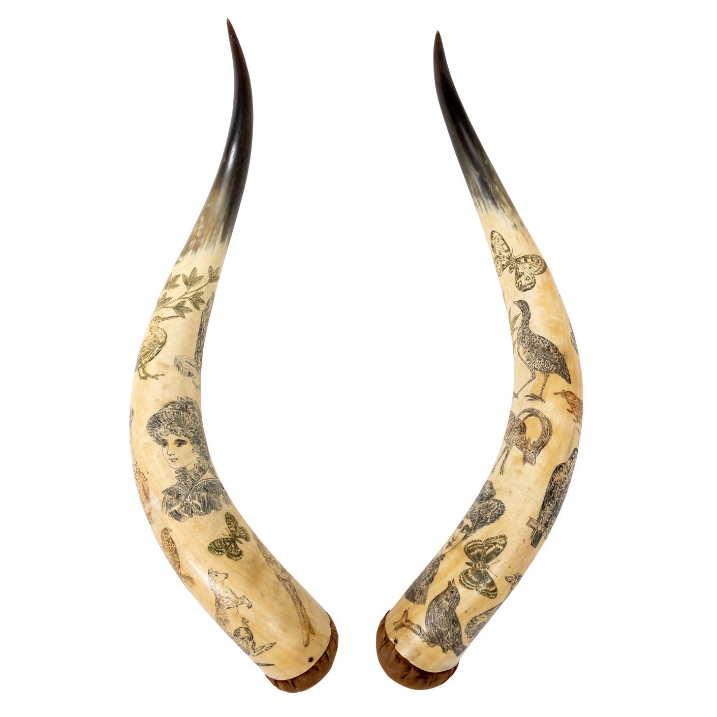 Matched 19th Century Cow Horn Scrimshaw