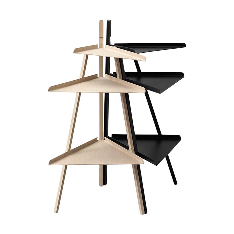 Pair of Teak Corner Shelves at 1stDibs