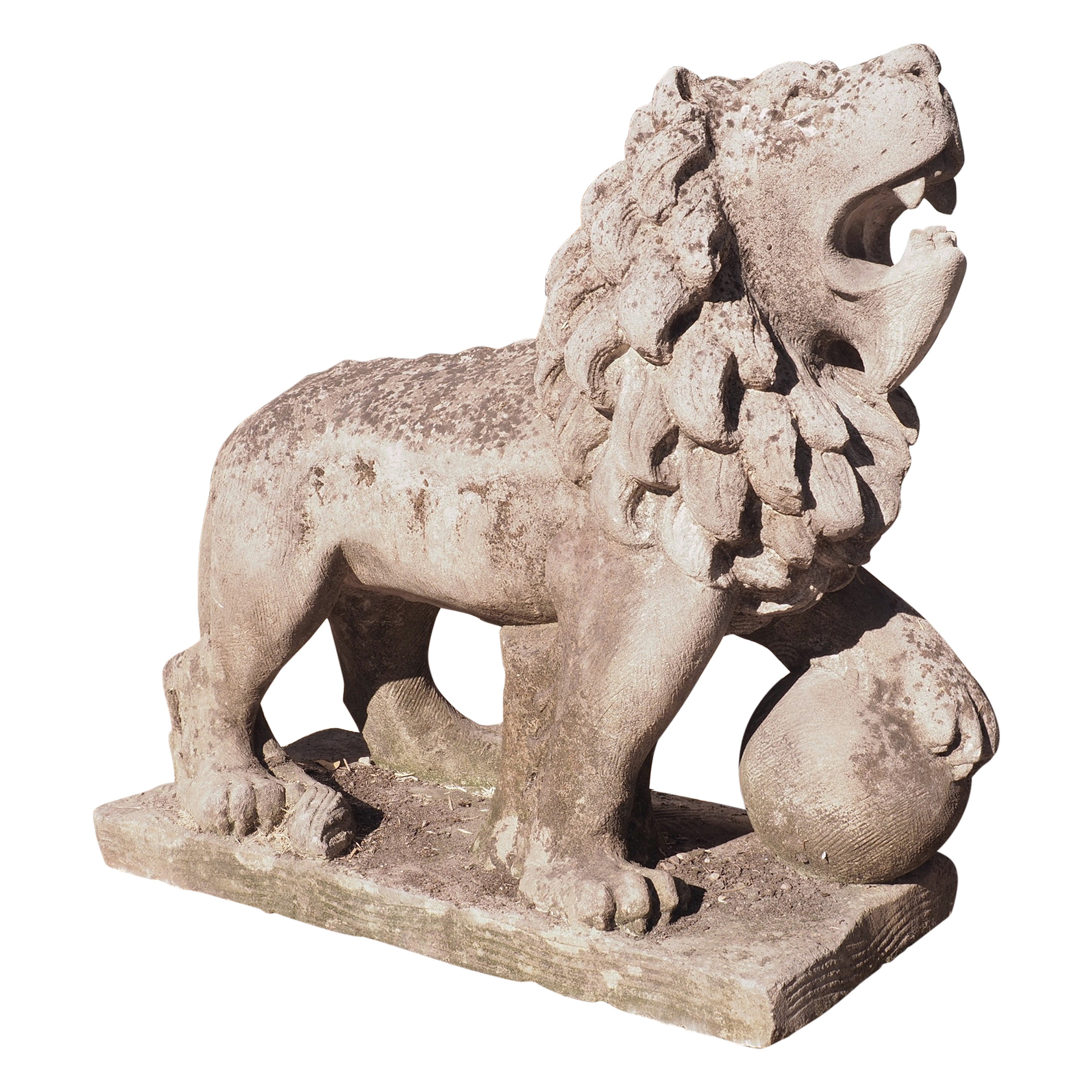 Carved Stone Medici Lion Fountain Element from Veneto, Italy