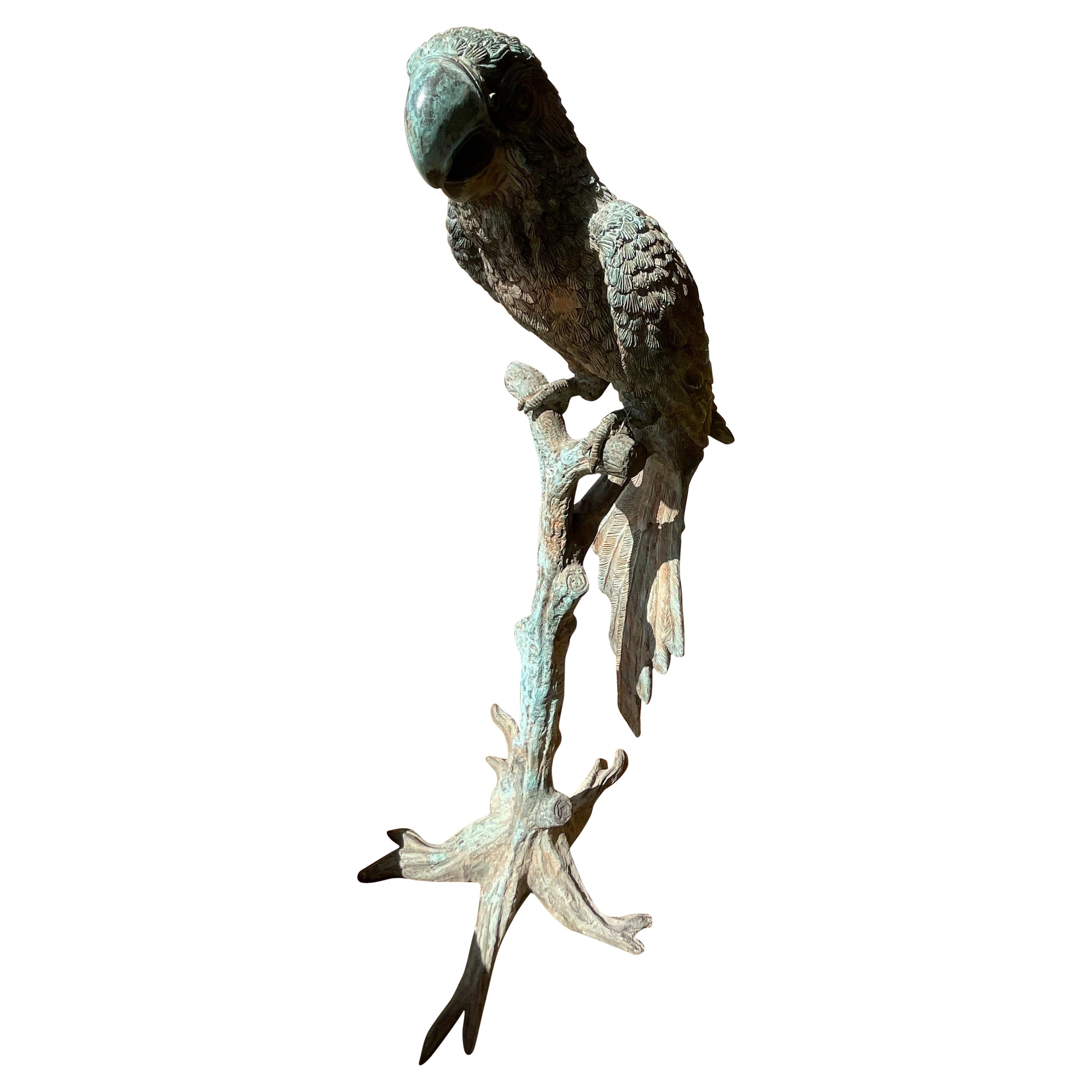 Early 20th Century Bronze Macaw Statue