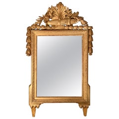 18th Century French Louis XVI Directoire Carved Giltwood Mirror