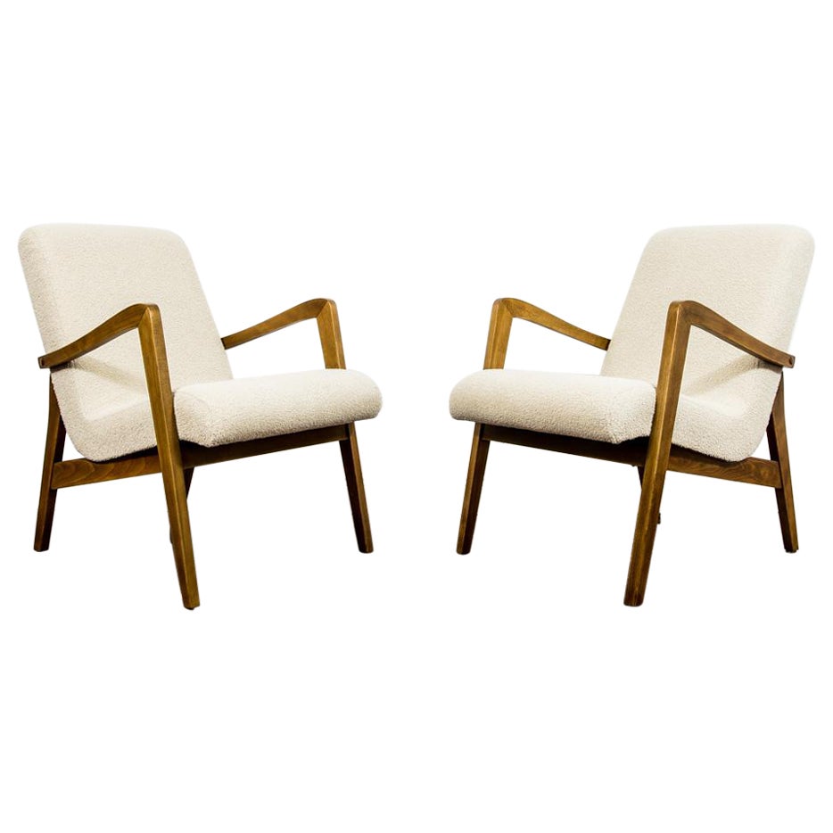 Pair of Type 300-138 Armchairs from Bystrzyckie Furniture Factories, 1960s