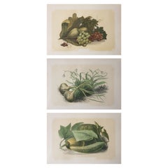 Set of 3 Original Antique Food Related Prints. Tallis, circa 1850