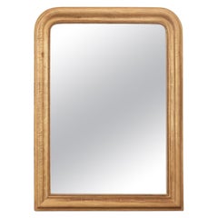 French 19th Century Louis Philippe Mirror