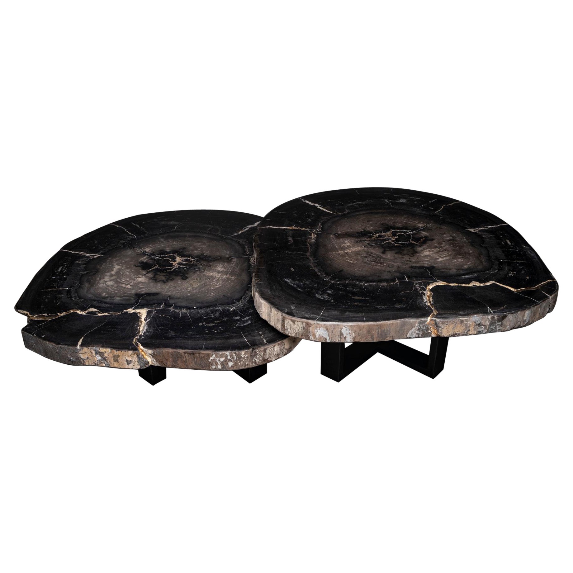 Pair of Petrified Wood Center or Coffee Table with black Metal Base at