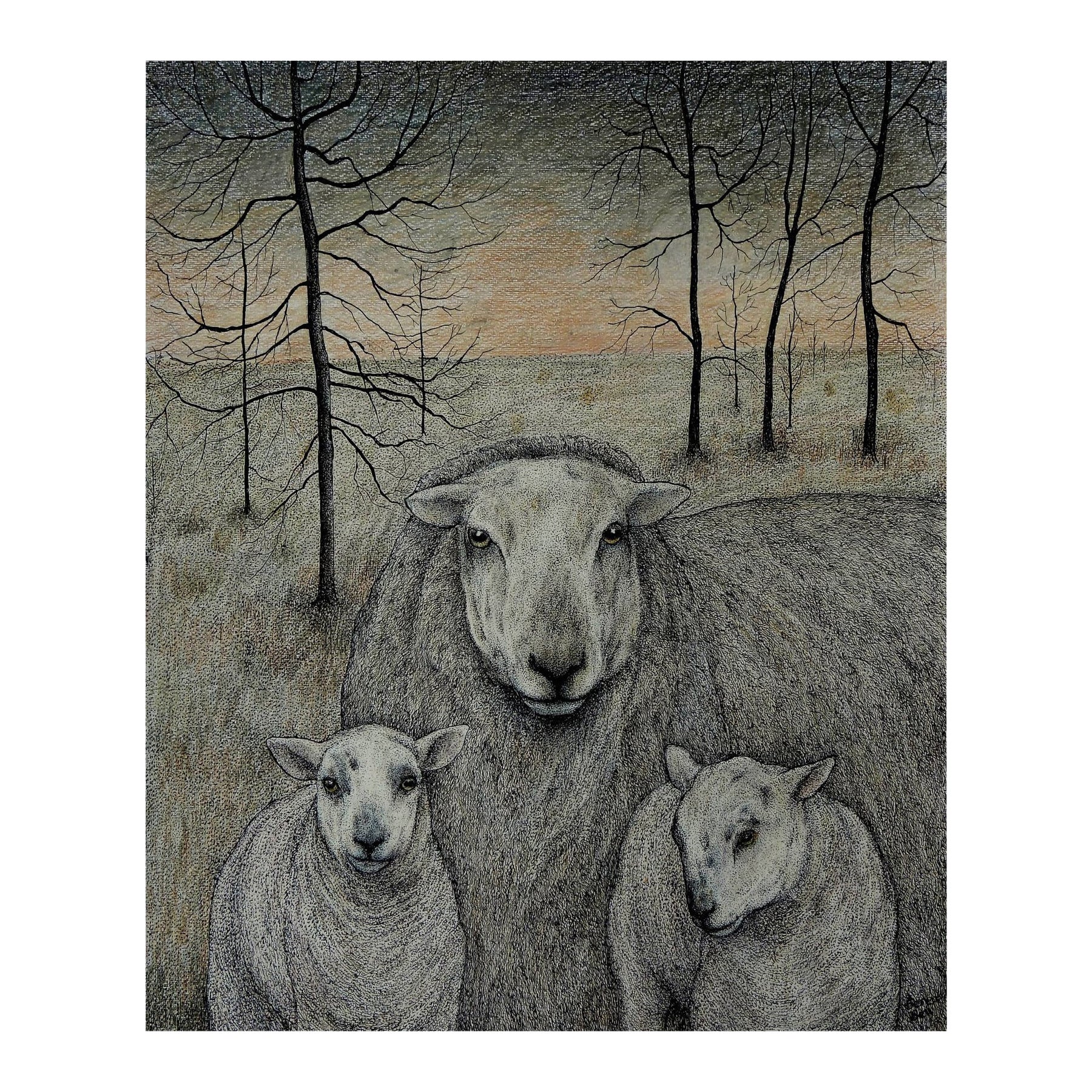 Seren Bell 'Welsh', Mixed Media on Artists Paper, Twin Lambs For Sale