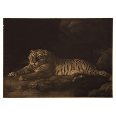 Rare Mezzotint Engraving "a Tigress" by John Murphy After George Stubbs, c.1798