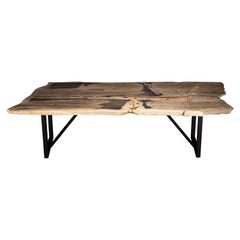 Rectangular Petrified Wood Dinning Table with Metal Base