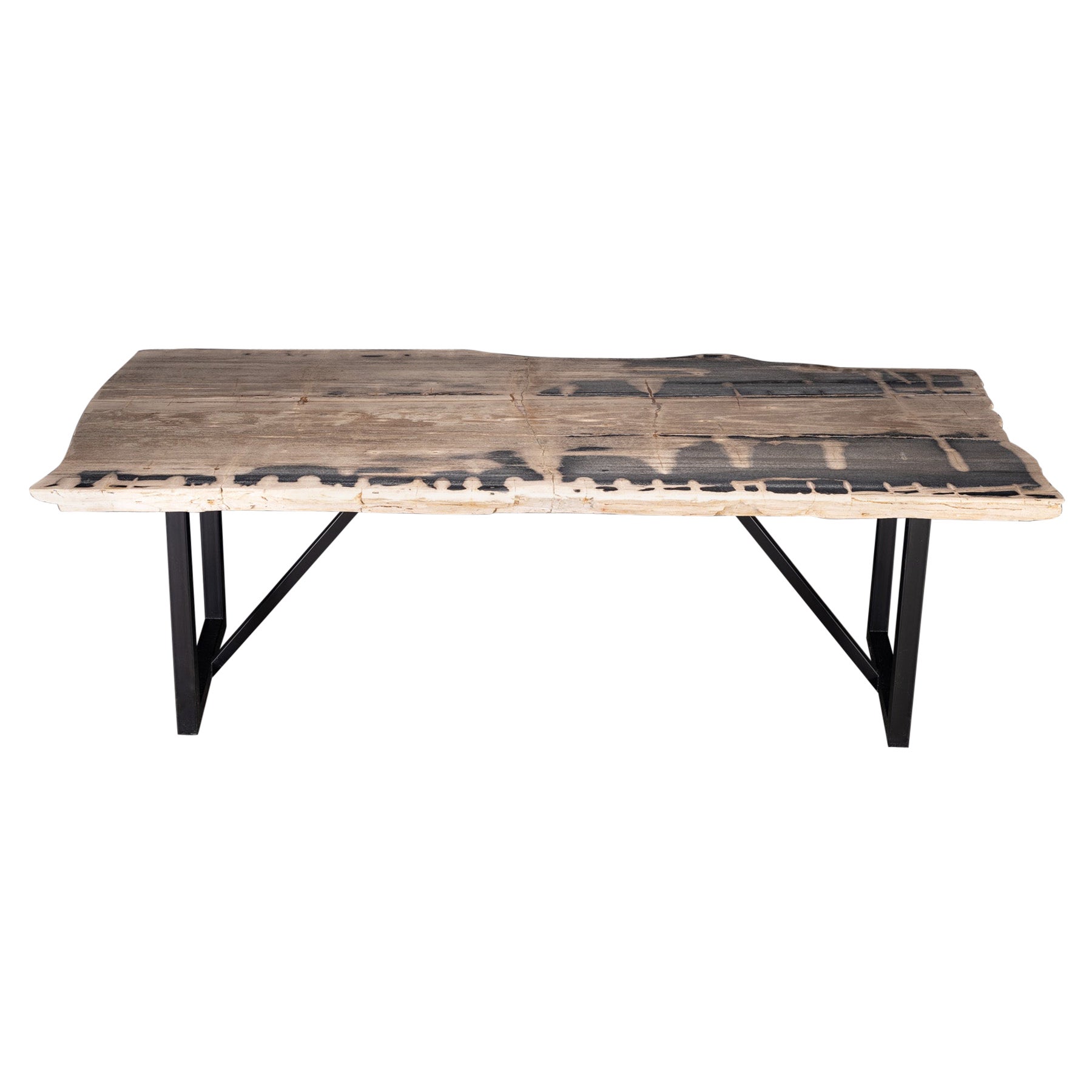 Rectangular Petrified Wood Dinning Table with Metal Base For Sale