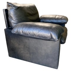 Vintage De Sede Chair DS-73 b