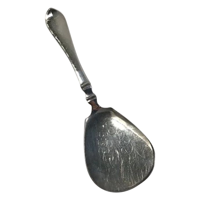 A Majolica Asparagus Server at 1stDibs