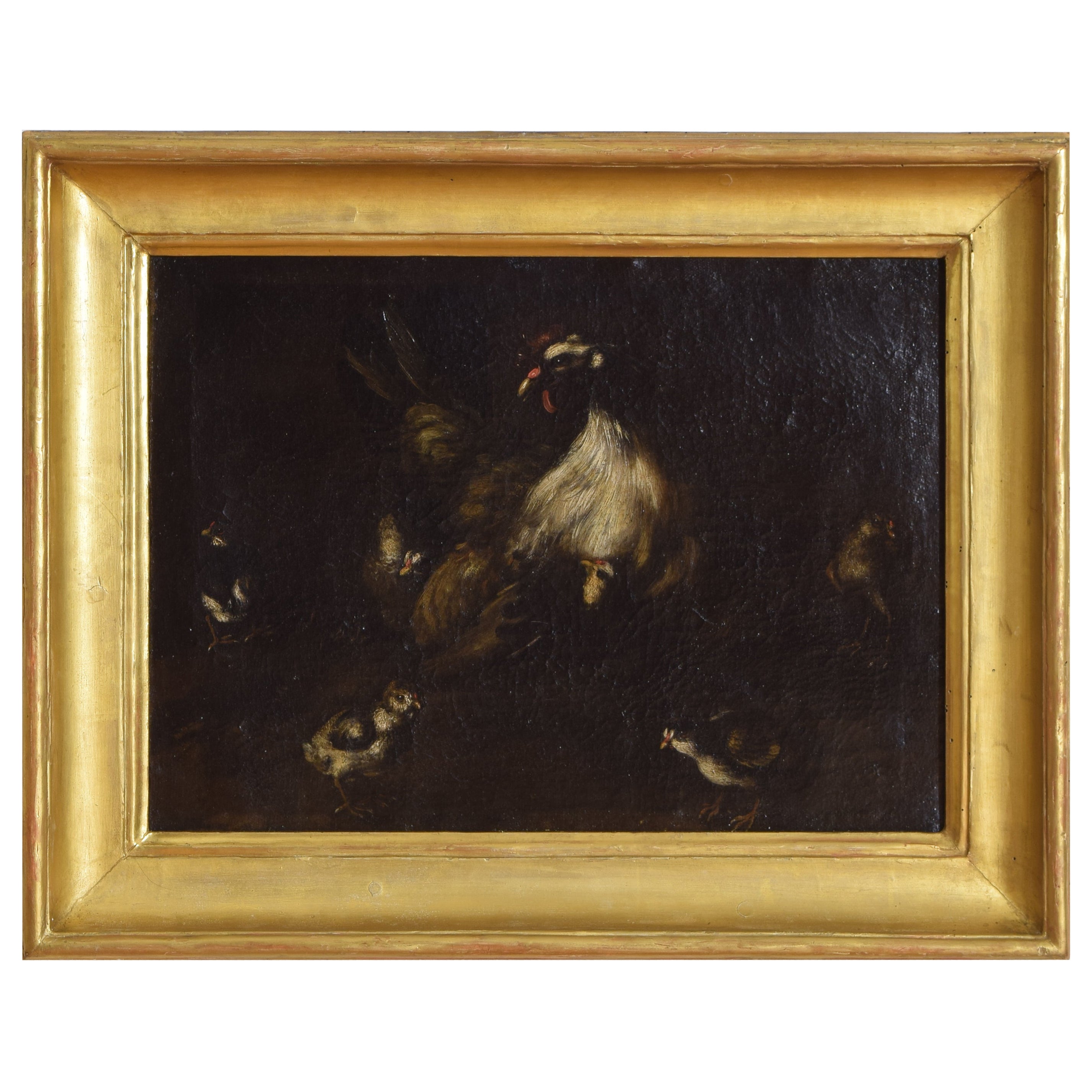 Oil on Canvas, Italy, Emilian School, Mother Hen with Chicks, Early 18th Cen. For Sale