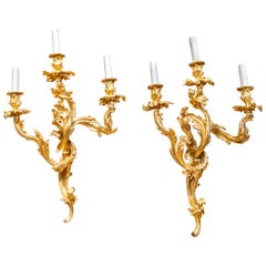 Fine Pair of Large 19th Century French Louis XV Gilt Bronze Wall Sconces