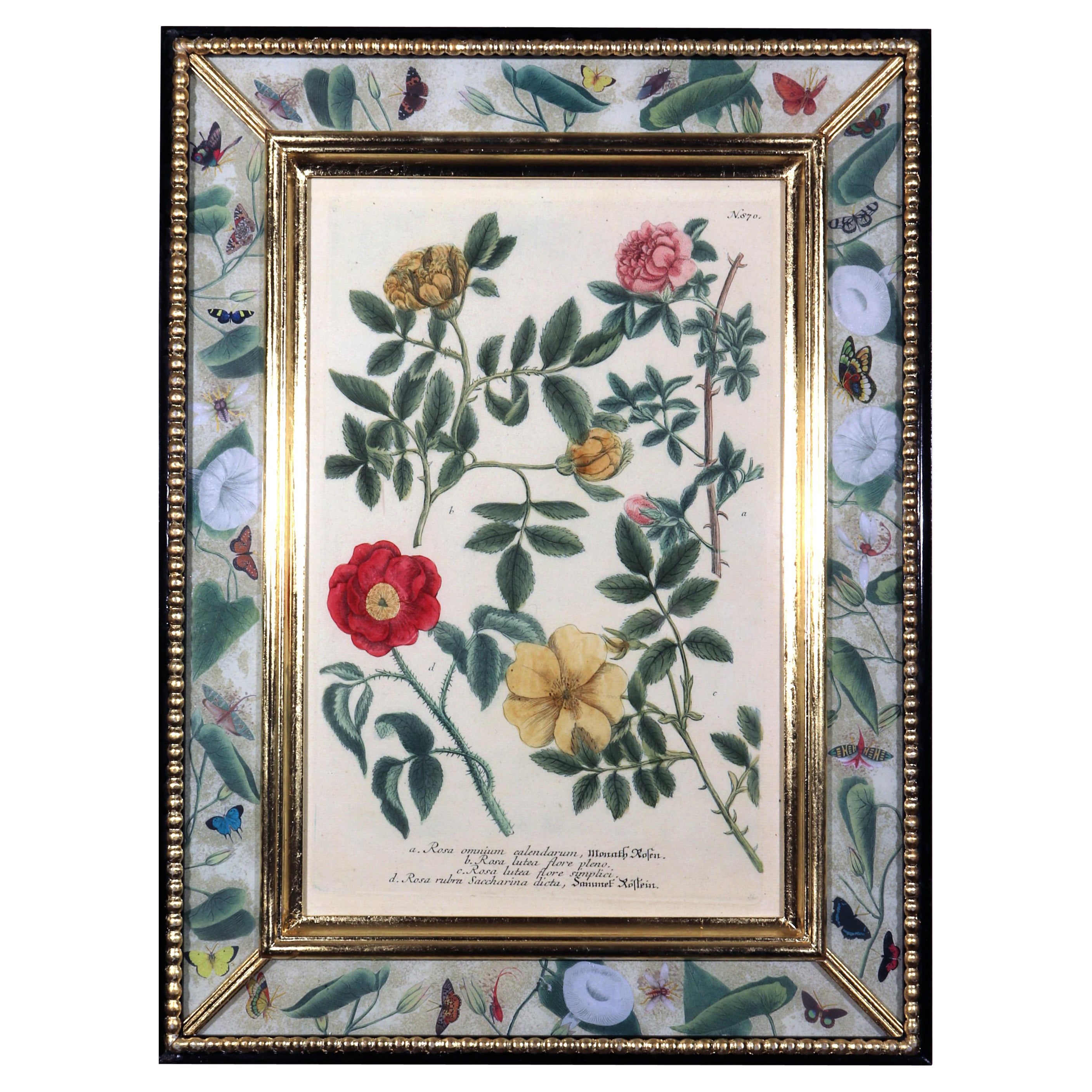 Johann Wilhelm Weinmann Print of Roses with Decoupage Frame For Sale