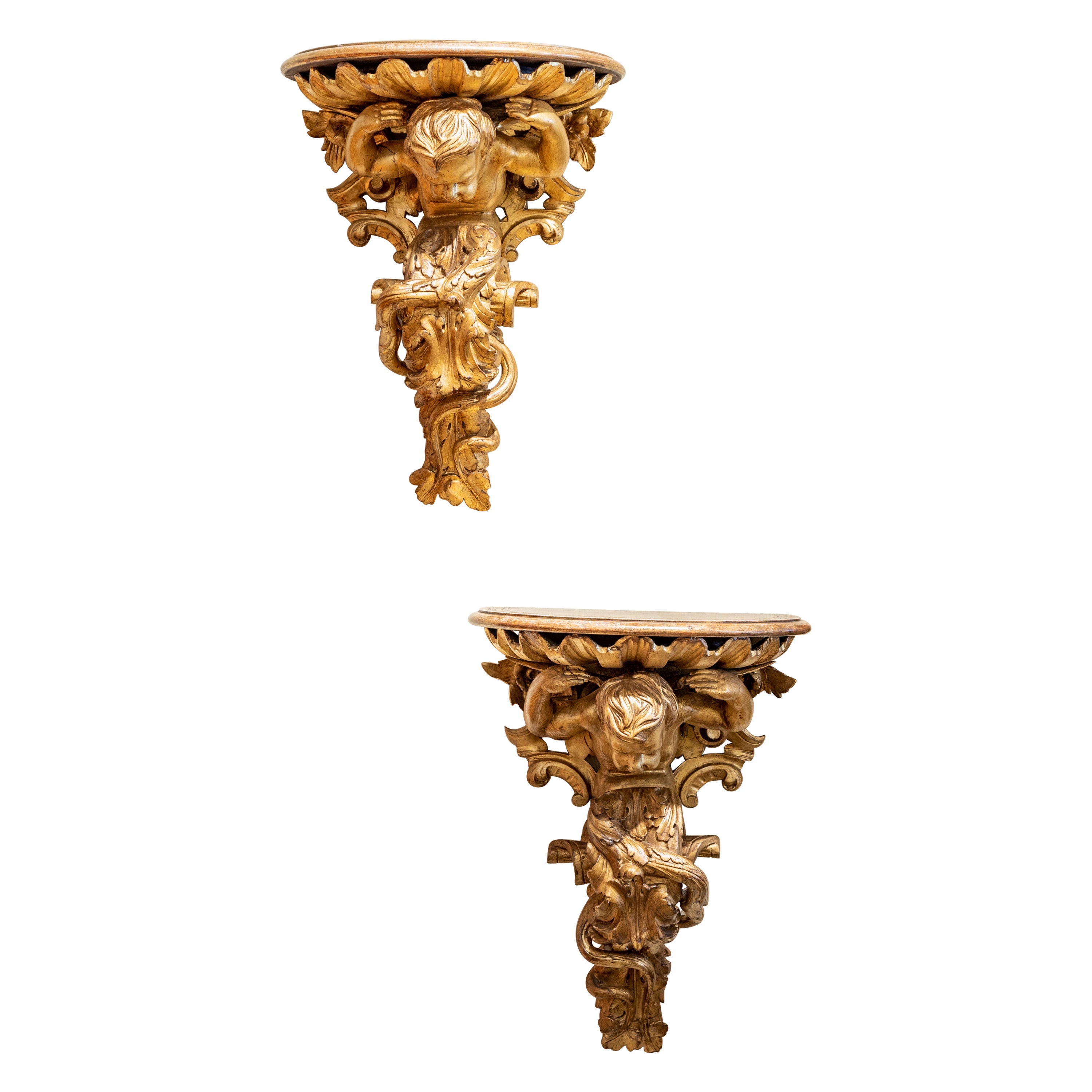 Fine Pair of Large 19th C Italian Carved and Gilt Wall Brackets with a Cherub For Sale