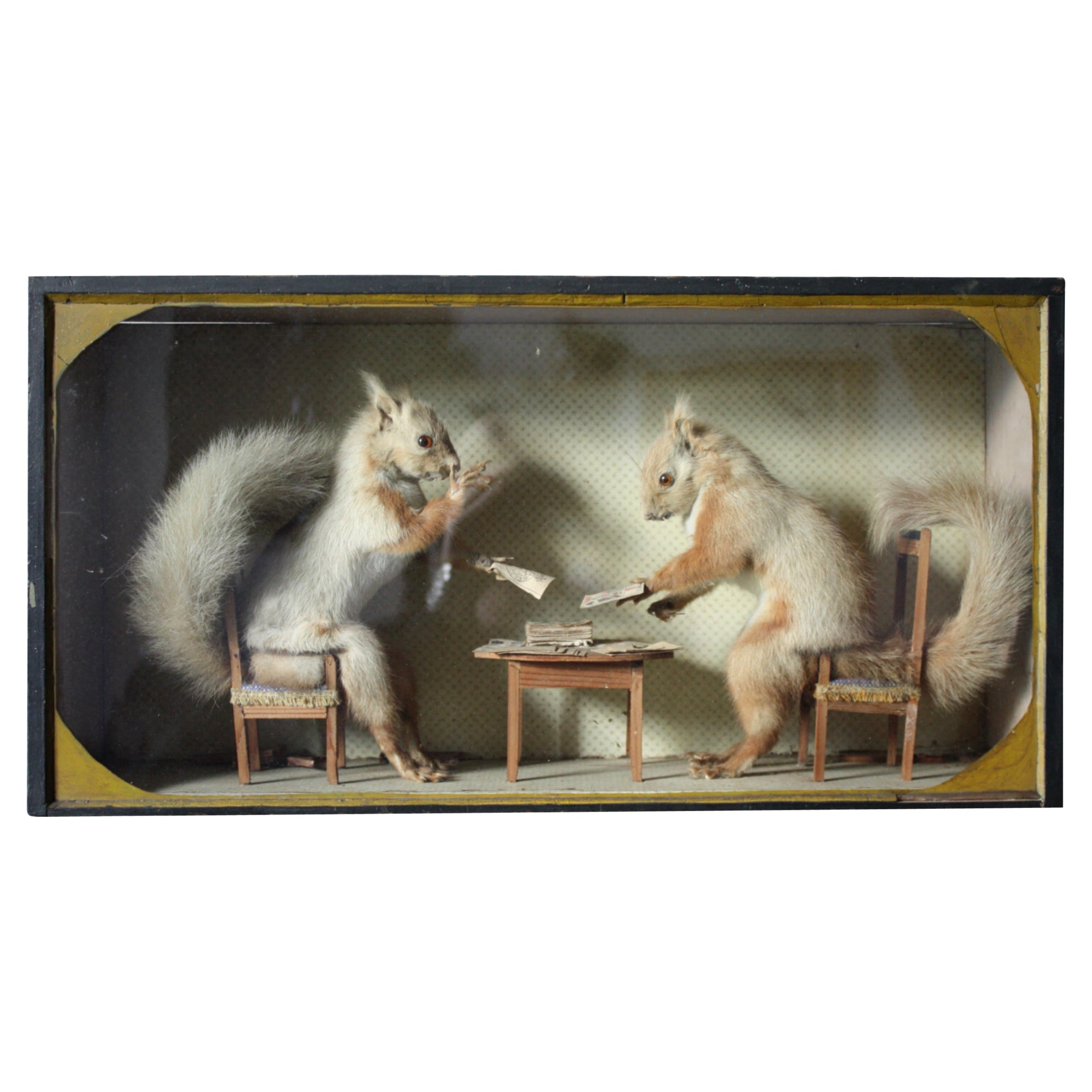 Early 20th Century Anamorphic Gambling Card Playing Squirrels Taxidermy Curio 