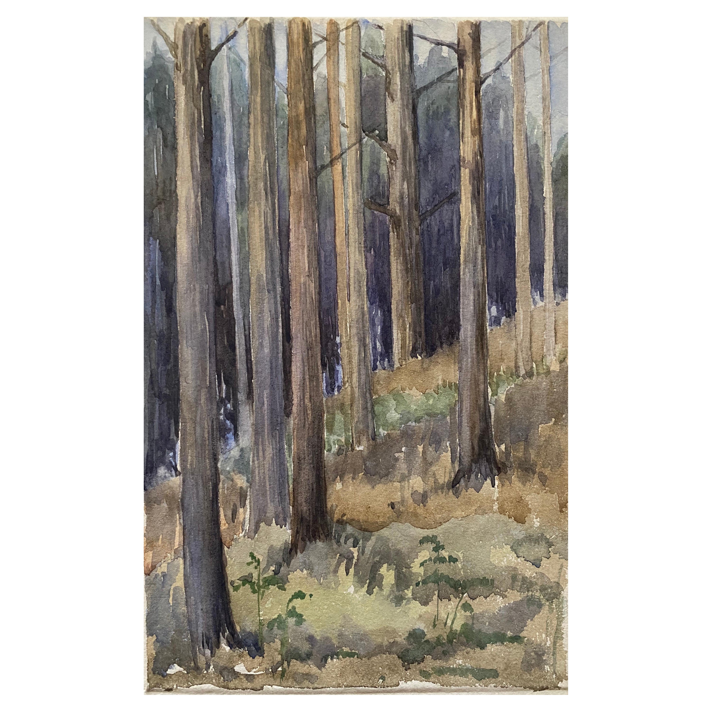 1900's English Impressionist Watercolor Painting Captivating Midnight Forest For Sale