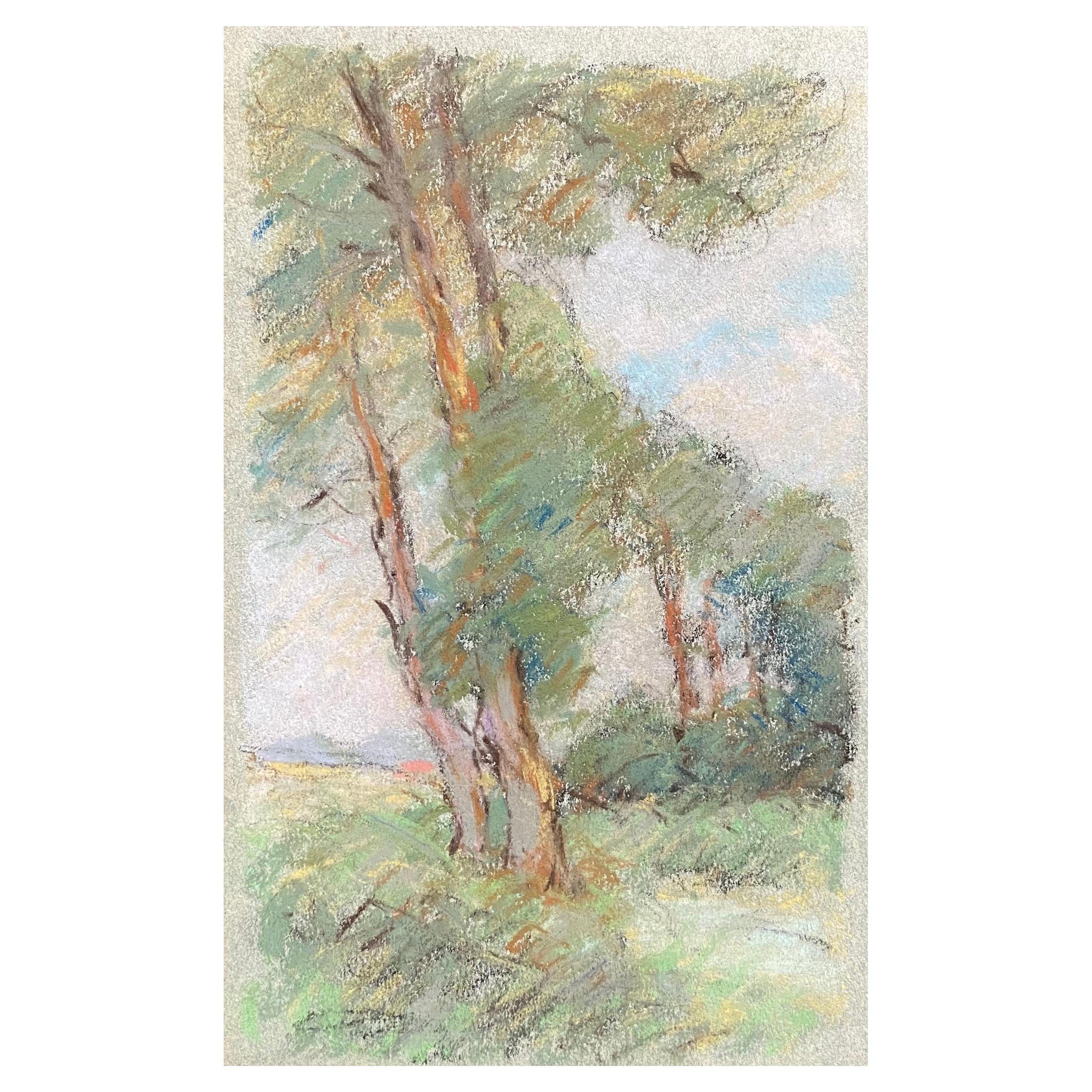 Camille Meriot French Impressionist Pastel Countryside Wispy Trees in Lane For Sale