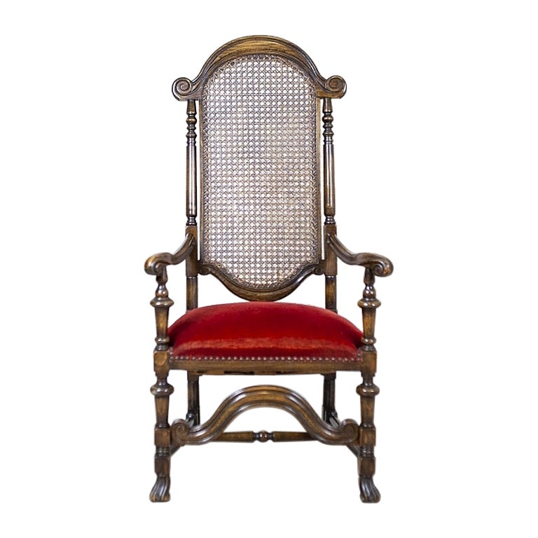 Armchair from the Early 20th Century with Rattan Backrest For Sale